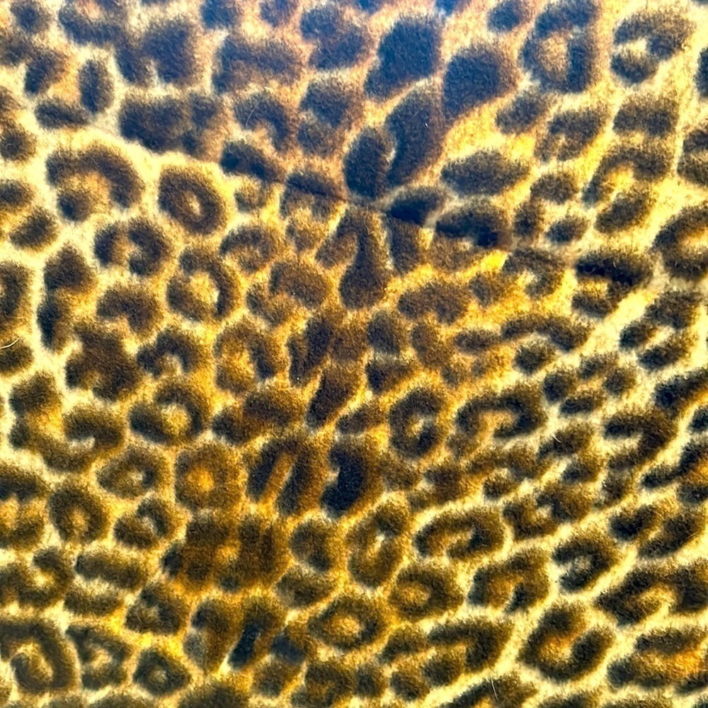 Snuggly Blanket